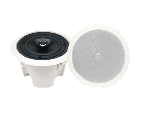 6,5-дюймовые потолочные динамики с задней крышкой