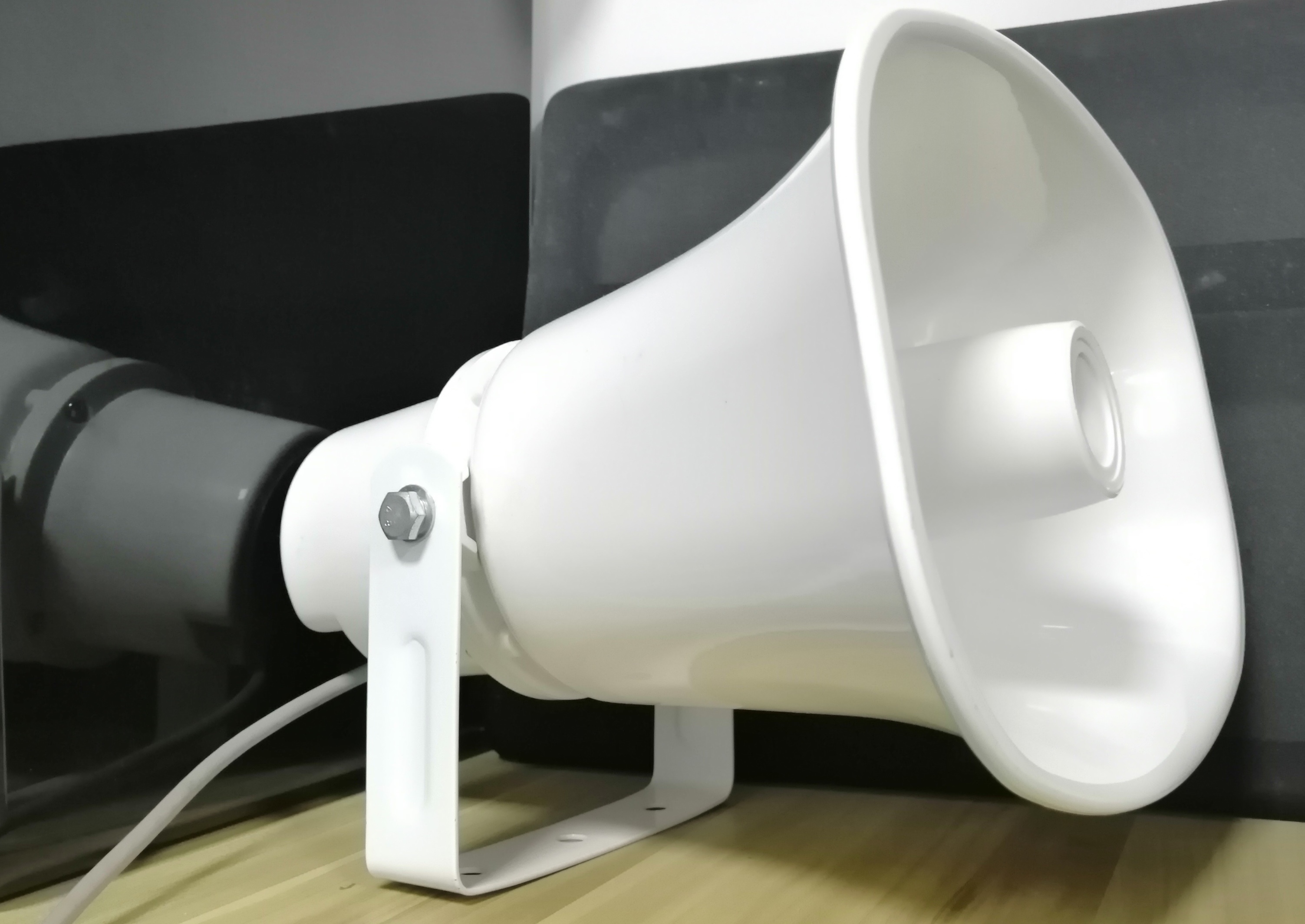 PA horm Speaker - IP-динамик громкой связи